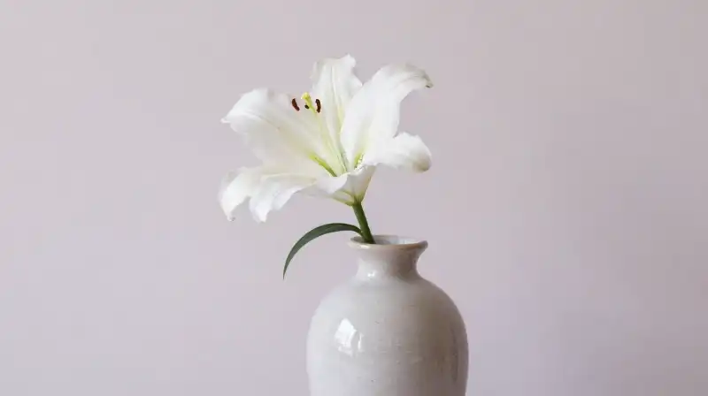 Cover Image of the Post