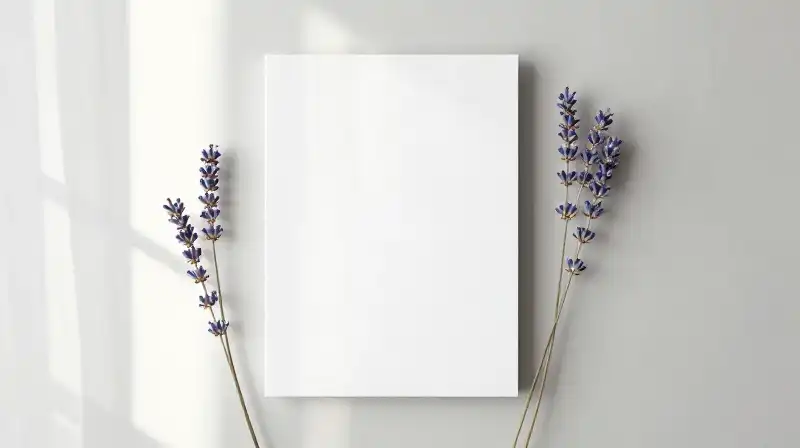 Cover Image of the Post